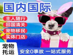 海西德令哈航空快运国际宠物托运 【国
